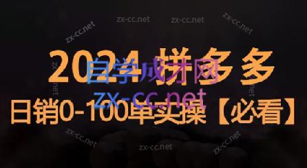 恒哥·2024拼多多日销0-100单实操-天使资源网