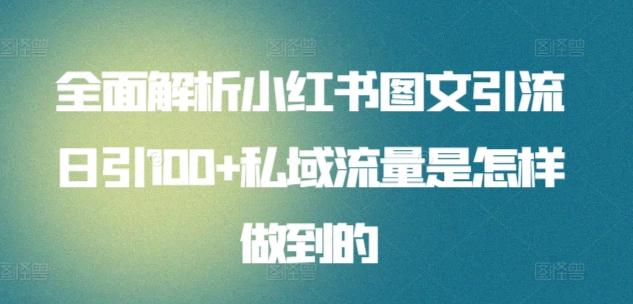 全面解析小红书图文引流日引100+私域流量是怎样做到的【揭秘】-天使资源网