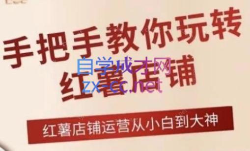 海燕老师·2024手把手教你玩转红薯店铺-天使资源网