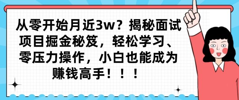 从零开始月近3w？揭秘面试项目掘金秘笈，轻松学习、零压力操作，小白也能成为赚钱高手-天使资源网