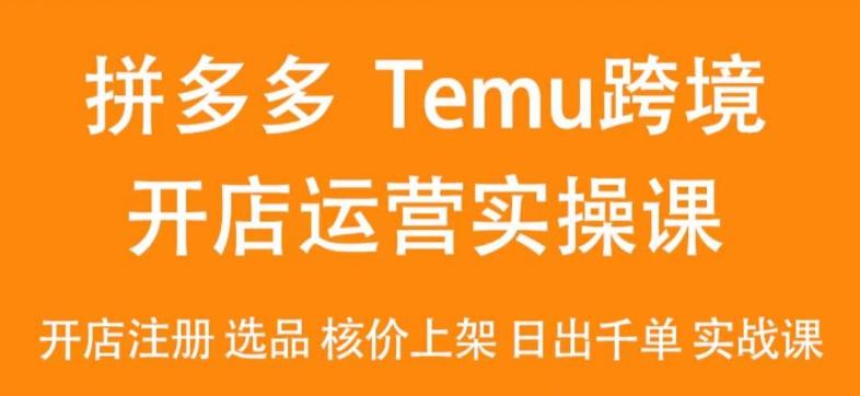 2024Temu最新玩法，Temu跨境开店运营实操课，开店注册/选品/核价上架/日出千单实战课-天使资源网
