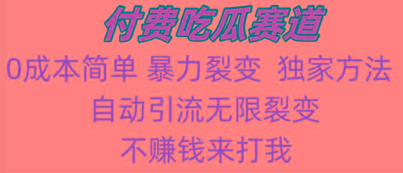 吃瓜付费赛道，暴力无限裂变，0成本，实测日入700+！！！-天使资源网