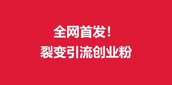 (全网首发)外面收费几千的裂变引流高质量创业粉-天使资源网
