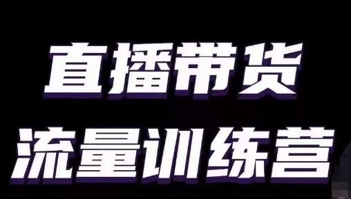 直播带货流量训练营，小白主播必学直播课-天使资源网