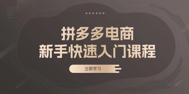 拼多多电商新手快速入门课程：涵盖基础、实战与选款，助力小白轻松上手-天使资源网