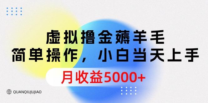 (9864期)虚拟撸金薅羊毛，简单操作，小白当天上手，月收益5000+-天使资源网
