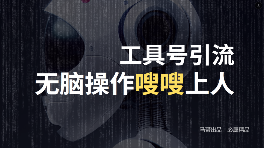 24年抖音最新工具号日引流300+创业粉，日入5000+-天使资源网