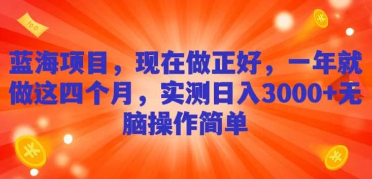 蓝海项目，现在做正好，一年就做这4个月，实测日入3000+，无脑简单操作-天使资源网