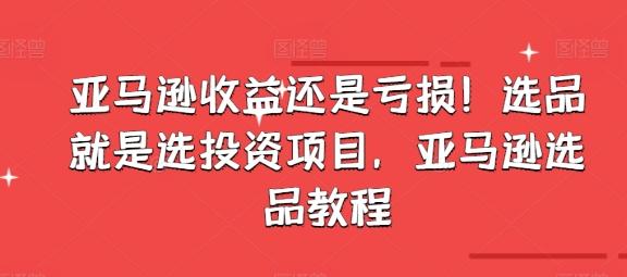 亚马逊收益还是亏损！选品就是选投资项目，亚马逊选品教程-天使资源网