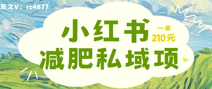 小红书减肥粉，私域变现项目，一单就达210元，小白也能轻松上手【揭秘】-天使资源网