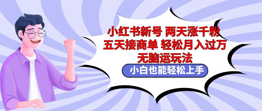 小红书新号两天涨千粉五天接商单轻松月入过万 无脑搬运玩法 小白也能轻…-天使资源网