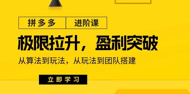 拼多多·进阶课：极限拉升/盈利突破：从算法到玩法 从玩法到团队搭建-18节-天使资源网
