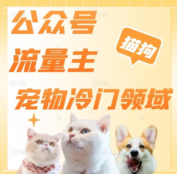 公众号流量主，萌宠冷门领域，单日收益2000+，简单暴力掘金，矩阵操作，无限放大收益！-天使资源网