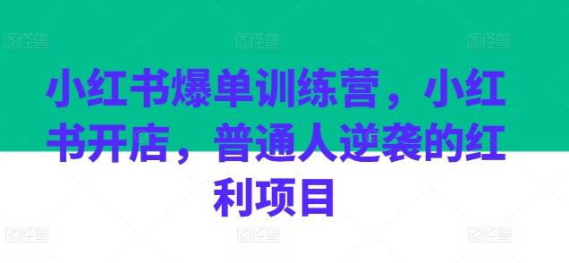 小红书爆单训练营，小红书开店，普通人逆袭的红利项目-天使资源网