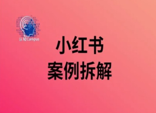 小红书案例拆解，深度解读小红书40万粉-天使资源网