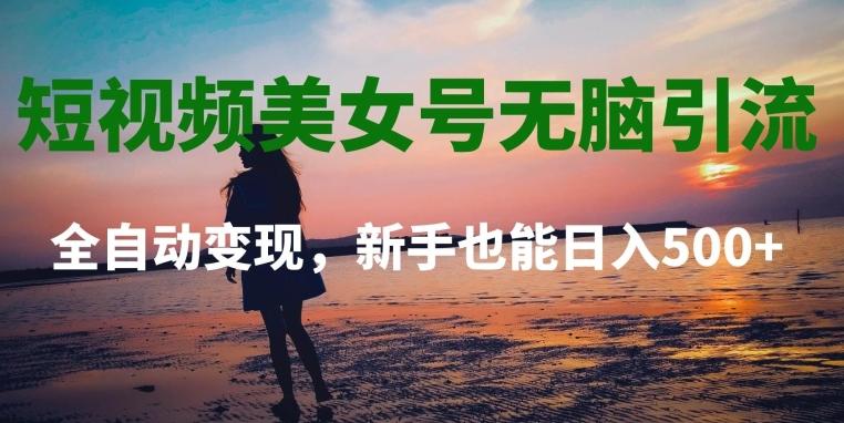 短视频美女号无脑引流，全自动变现，新手也能日入500+-天使资源网