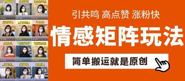 简单搬运，情感矩阵玩法，涨粉速度快，可带货，可起号【揭秘】-天使资源网