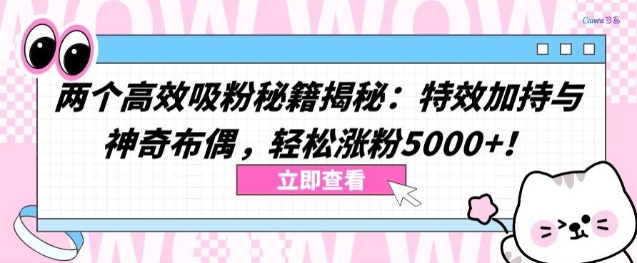 两个高效吸粉秘籍揭秘：特效加持与神奇布偶，轻松涨粉5000+【揭秘】-天使资源网