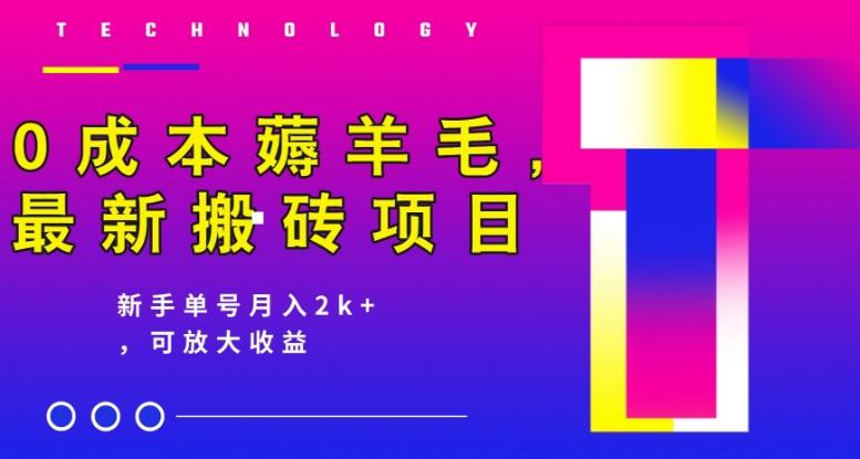 0成本薅羊毛，最新搬砖项目，新手单号月入2k+，可放大操作-天使资源网