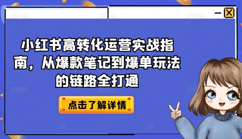 小红书高转化运营实战指南，从爆款笔记到爆单玩法的链路全打通-天使资源网