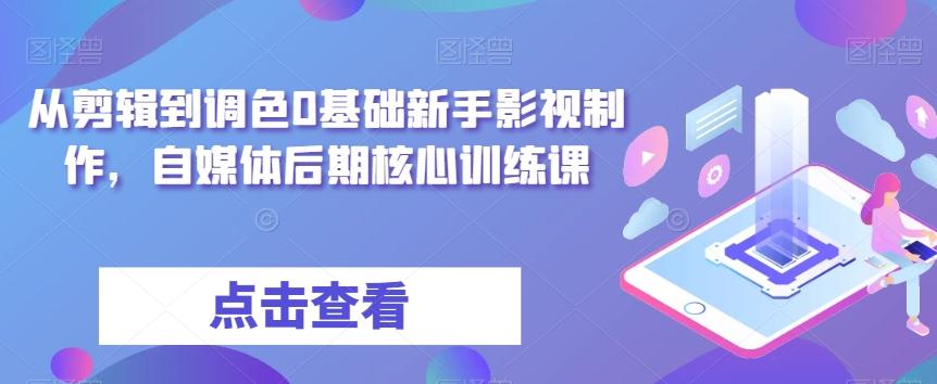 从剪辑到调色0基础新手影视制作，自媒体后期核心训练课-天使资源网