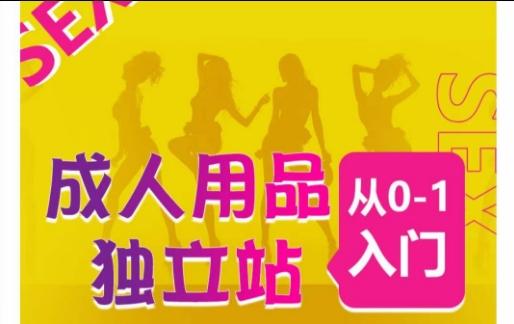 成人用品独立站从0-1入门，成品独立站运营全流程教学，七大好卖成品独立站推荐-天使资源网
