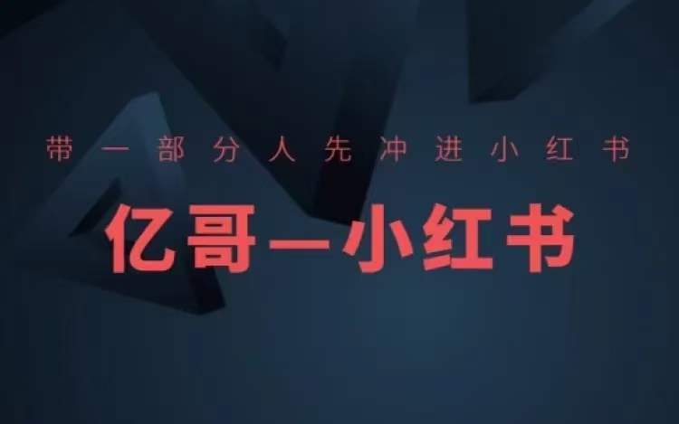 ​​带一部分人先冲进小红书，小红书开店、选品、爆款裂变-天使资源网