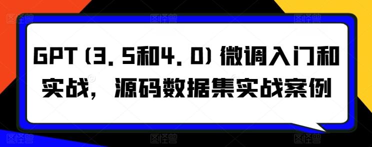 GPT(3.5和4.0)微调入门和实战，源码数据集实战案例-天使资源网