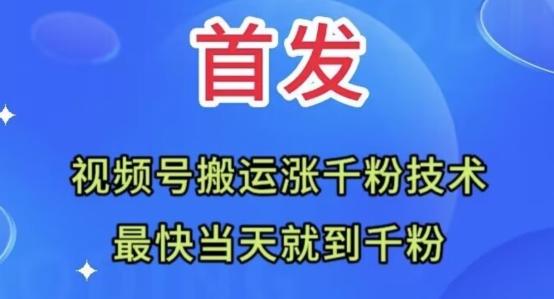 全网首发：视频号无脑搬运涨千粉技术，最快当天到千粉【揭秘】-天使资源网