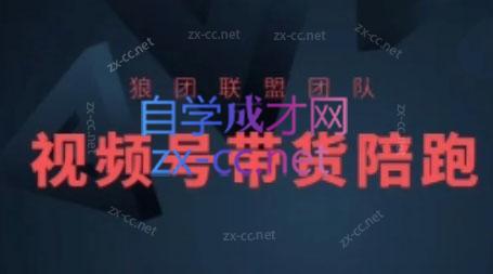 狼团联盟·2024视频号带货-天使资源网