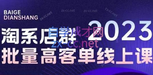白戈电商·23年淘系批量高客单+24年全域电商矩阵-天使资源网