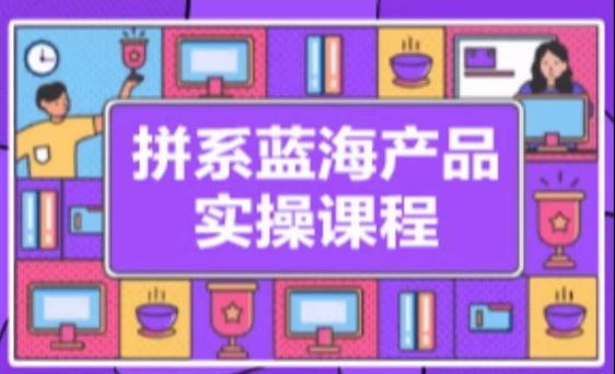 拼系冷门蓝海产品实操课程，从注册店铺到选品上架到流量维护环环相扣-天使资源网