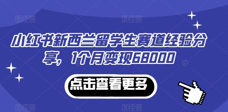 小红书新西兰留学生赛道经验分享，1个月变现68000【揭秘】-天使资源网