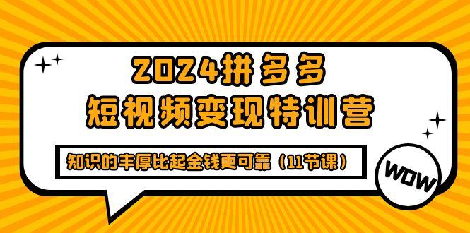(9817期)2024拼多多短视频变现特训营，知识的丰厚比起金钱更可靠(11节课)-天使资源网