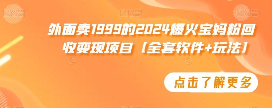 外面卖1999的2024爆火宝妈粉回收变现项目【全套软件+玩法】【揭秘】-天使资源网