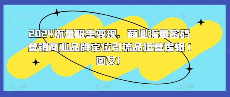 2024流量吸金变现，商业流量密码营销商业品牌定位引流品运营逻辑(图文)-天使资源网