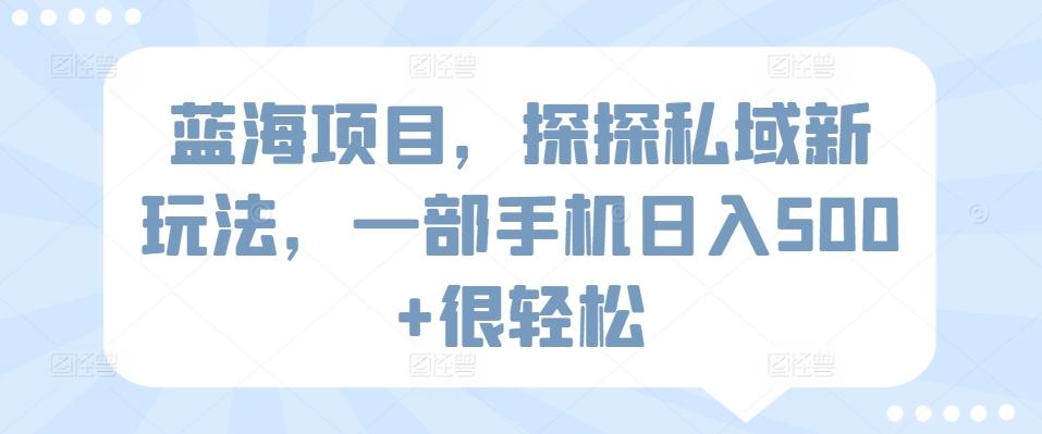 蓝海项目，探探私域新玩法，一部手机日入500+很轻松【揭秘】-天使资源网