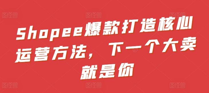 Shopee爆款打造核心运营方法，下一个大卖就是你-天使资源网