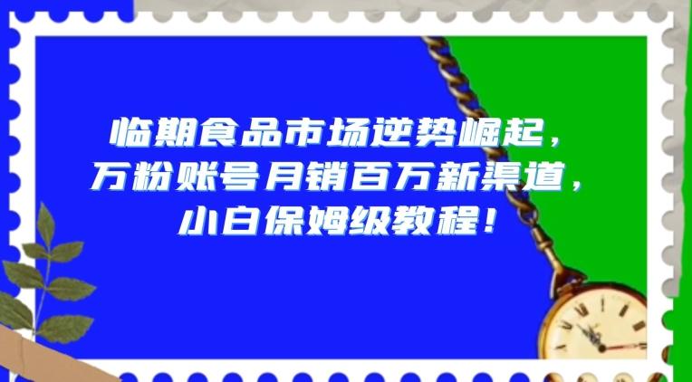 临期食品市场逆势崛起，万粉账号月销百万新渠道，小白保姆级教程【揭秘】-天使资源网