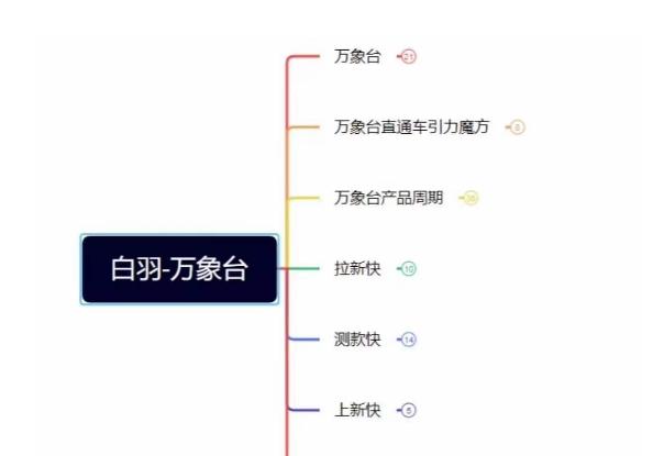 白羽·直引万搜索全篇，从0-1，多个类目实操经验总结付费-天使资源网