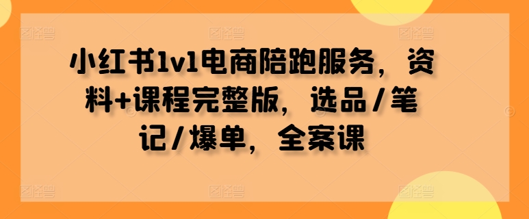 小红书1v1电商陪跑服务，资料+课程完整版，选品/笔记/爆单，全案课-天使资源网