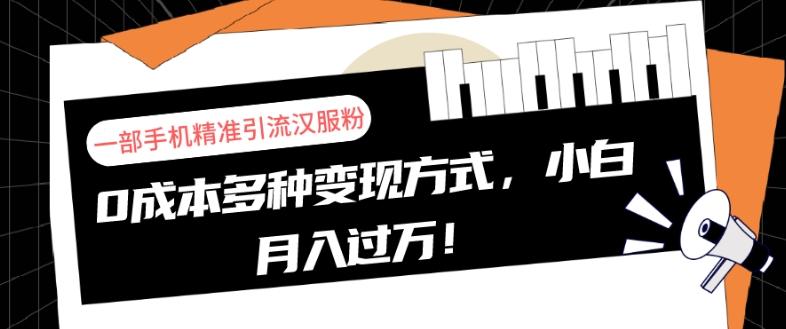 一部手机精准引流汉服粉，0成本多种变现方式，小白月入过万！-天使资源网