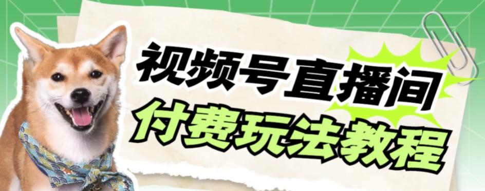 视频号美女付费无人直播，轻松日入500+【详细玩法教程】-天使资源网