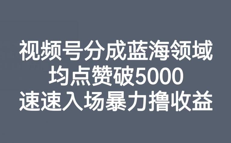 视频号分成蓝海领域，均点赞破5000，速速入场暴力撸收益-天使资源网