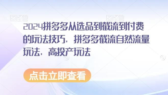 2024拼多多从选品到截流到付费的玩法技巧，拼多多截流自然流量玩法，高投产玩法-天使资源网