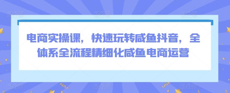 电商实操课，快速玩转咸鱼抖音，全体系全流程精细化咸鱼电商运营-天使资源网