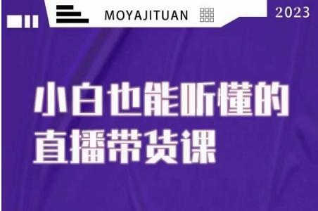 大威本威·能听懂的直播带货课，小白也能听懂，20节完整-天使资源网