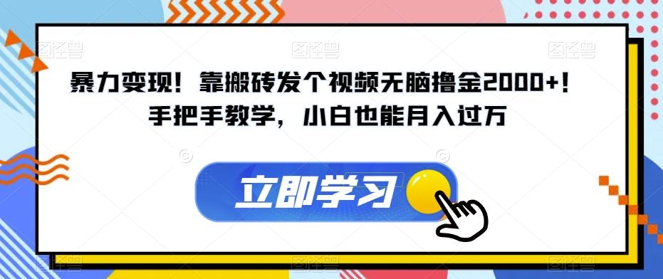 暴力变现！靠搬砖发个视频无脑撸金2000+！手把手教学，小白也能月入过万【揭秘】-天使资源网