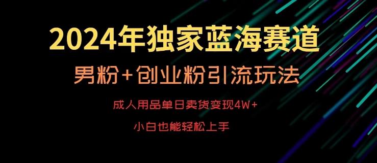 2024年独家蓝海赛道，成人用品单日卖货变现4W+，男粉+创业粉引流玩法，不愁搞不到流量【揭秘】-天使资源网