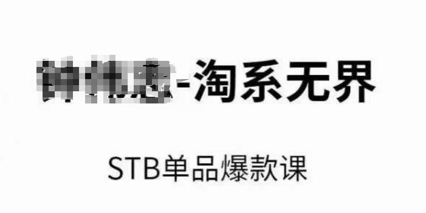 淘系无界STB单品爆款课(2024)，付费带动免费的核心逻辑，万相台无界关键词推广/精准人群的核心-天使资源网